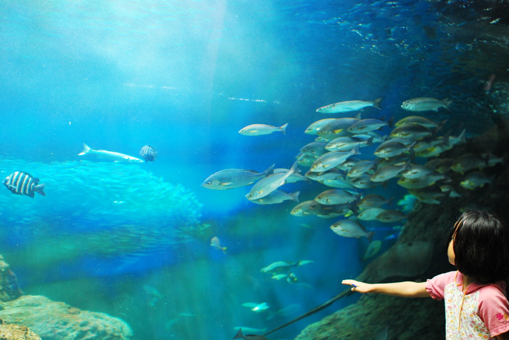 水族館