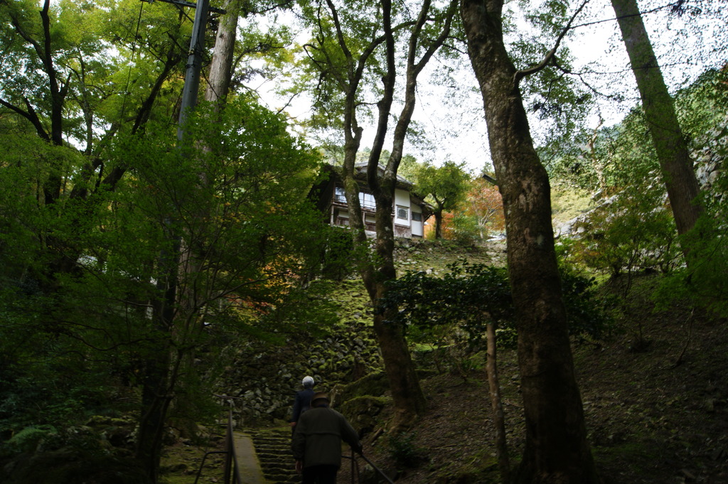 阿弥陀寺への道