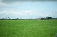 田園風景