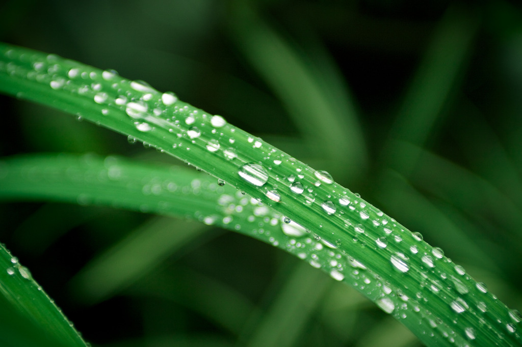 雨上がり