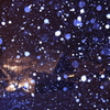 雪飾り