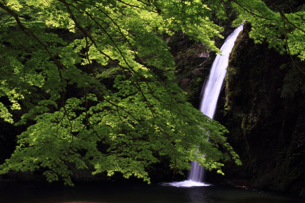 霊水