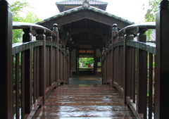 和みの雨
