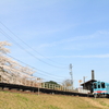 春、旅立ち