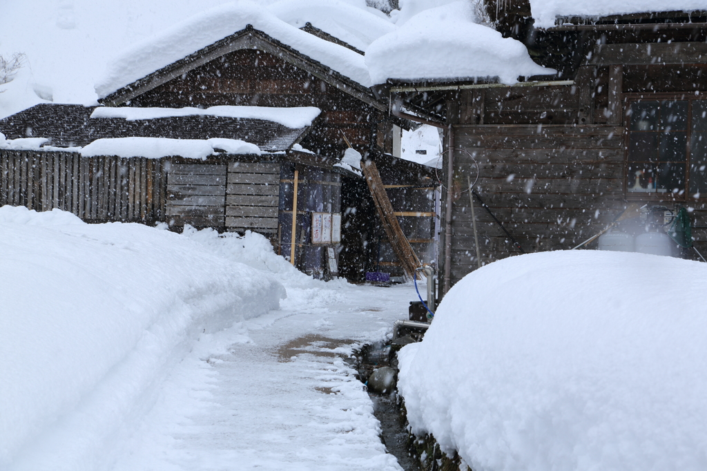 雪小路