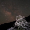天の桜
