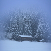 吹雪が去って