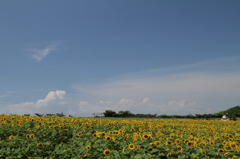夏色