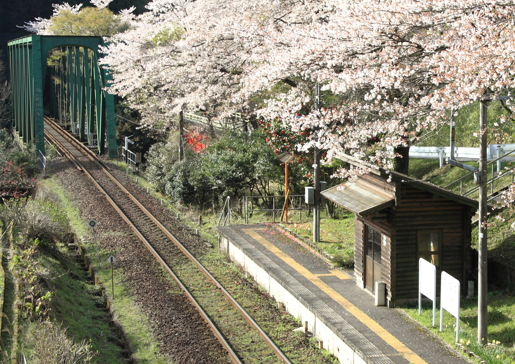 旅立ちの朝