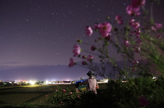 星空と案山子たち