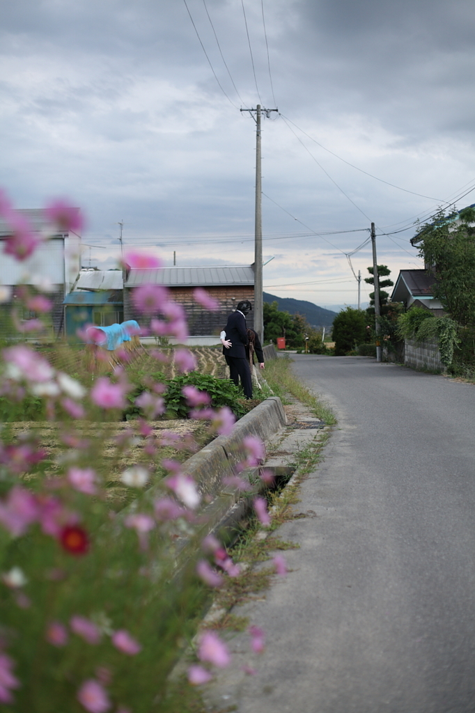 かかしが暮らす村