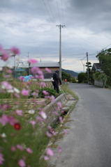 かかしが暮らす村