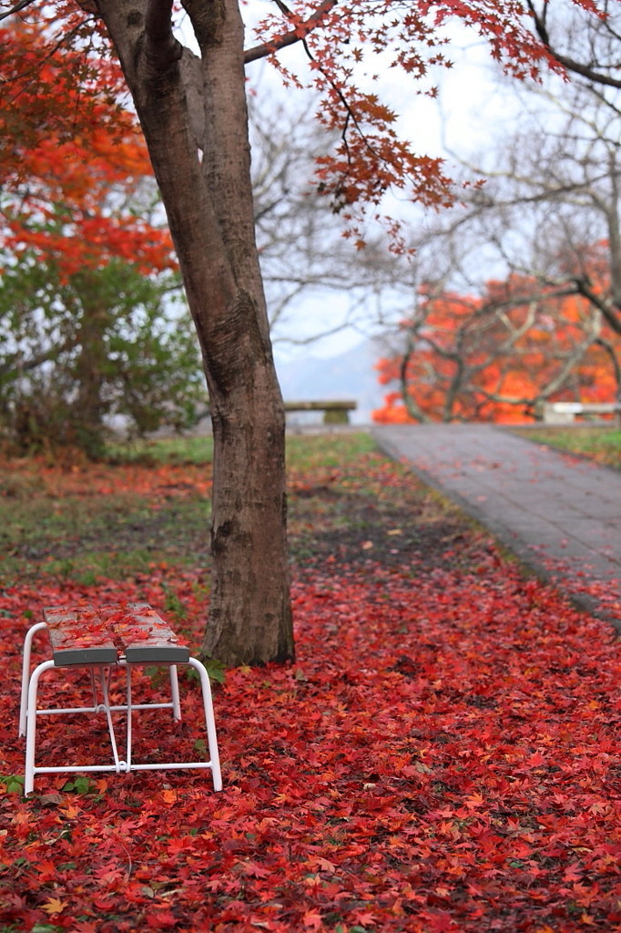 紅葉`10（高遠城址公園編）