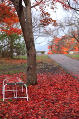 紅葉`10（高遠城址公園編）