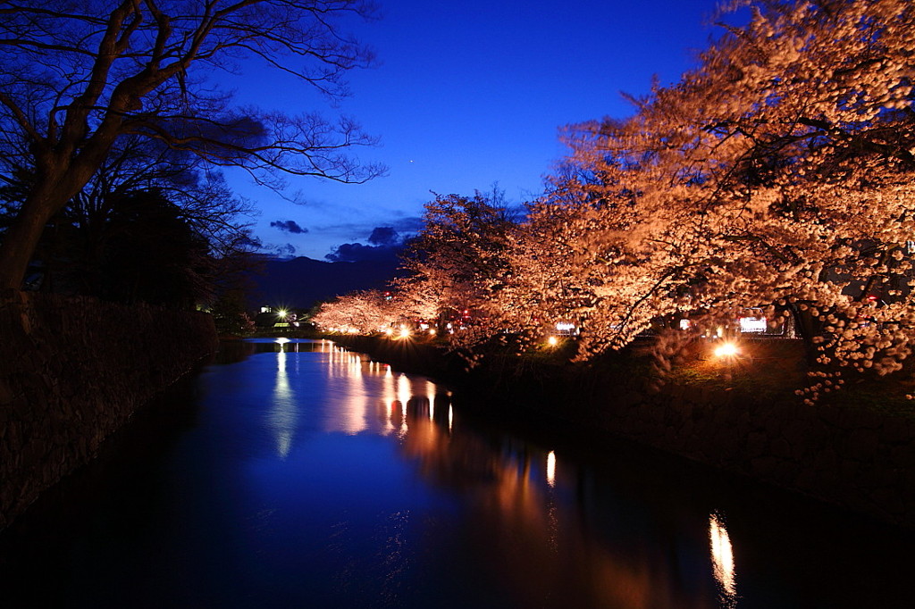 桜`10（松本城　夜桜編）
