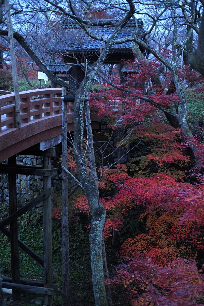 紅葉`10（高遠城址公園編）