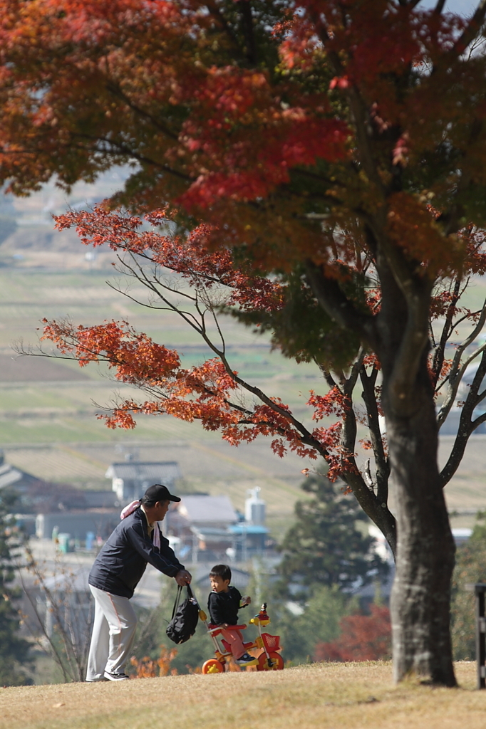 紅葉`10（安曇野編）