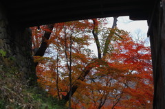 紅葉`10（高遠城址公園編）