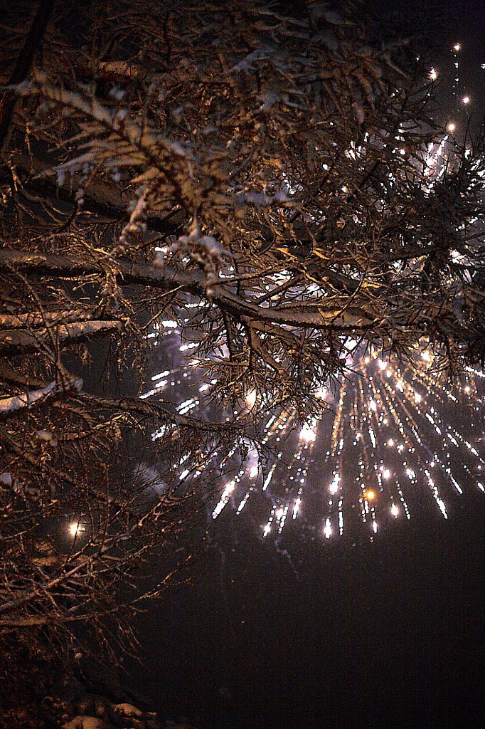 雪祭りの夜2010（冬花火編）