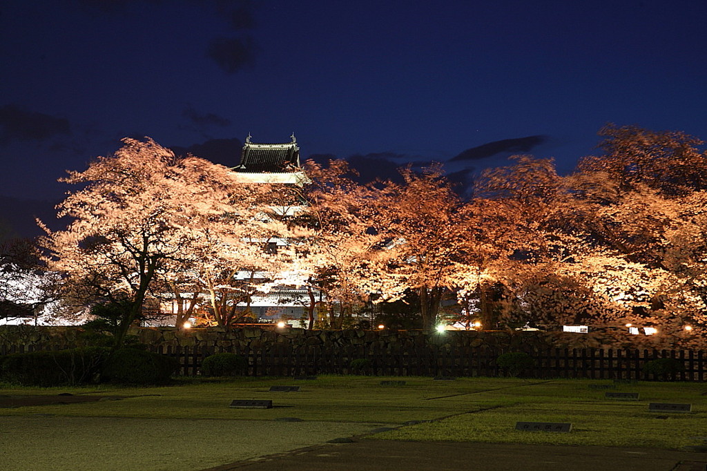 桜`10（松本城　夜桜編）