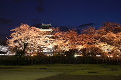 桜`10（松本城　夜桜編）