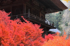 紅葉`10（霊松寺編）