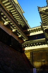 蒼天松本城‘１０
