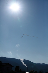 ラストスワン`10