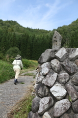 棚田歩けば