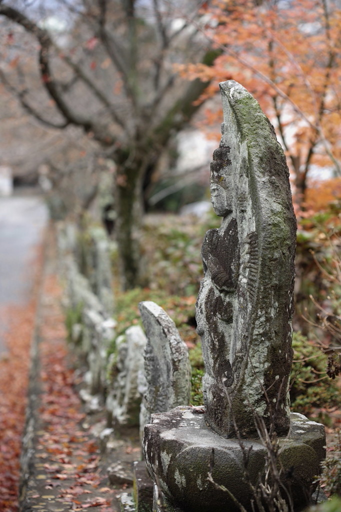 初冬の風景
