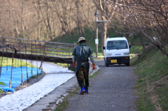 わさび田の春