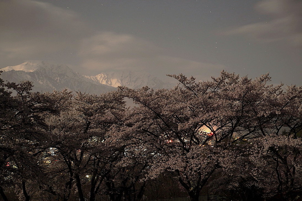 桜と山`10（夜編）