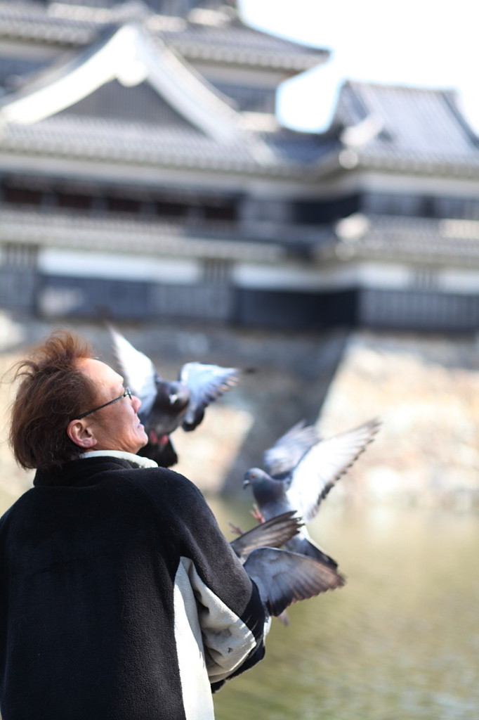 鳩使いの人