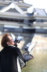 鳩使いの人