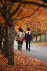 紅葉`10（もみじ湖編）
