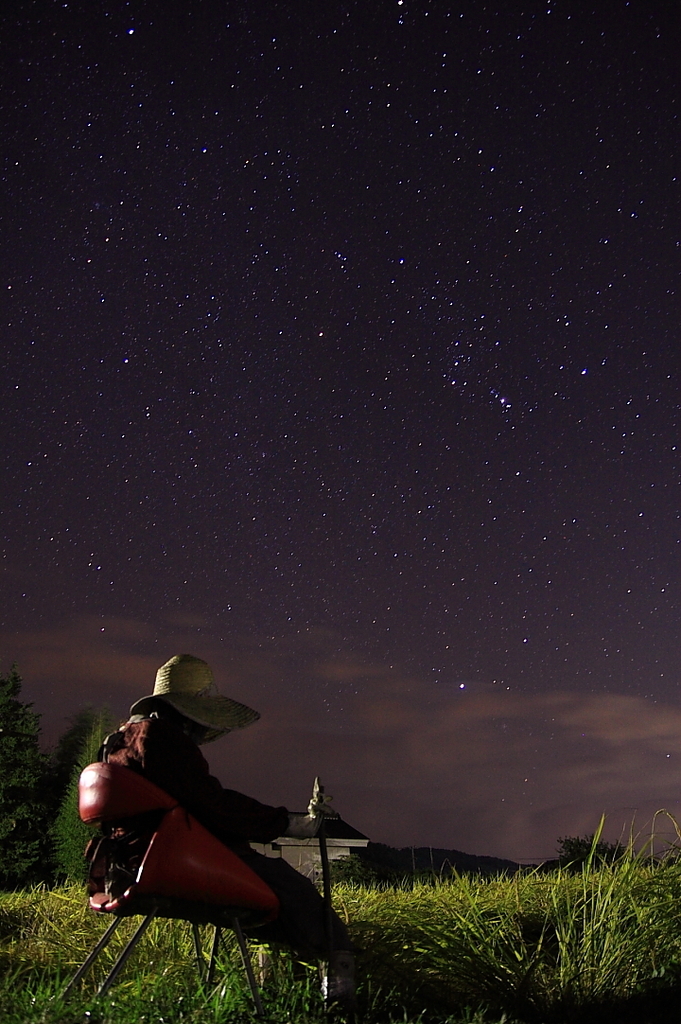 星空と案山子たち