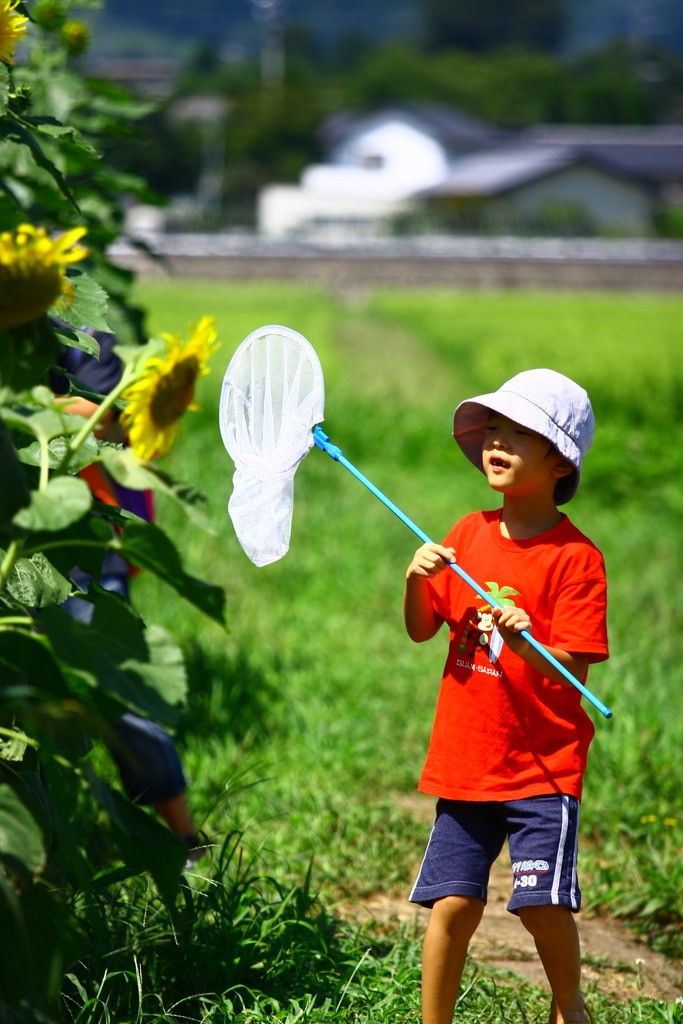 夏を捕まえろ