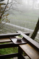 わさび田で朝食を