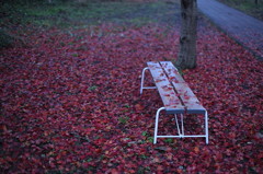 紅葉`10（高遠城址公園編）