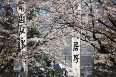 春祭りの日