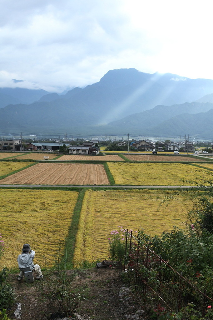 かかしが暮らす村