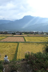 かかしが暮らす村