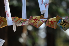 初詣の朝‘１１