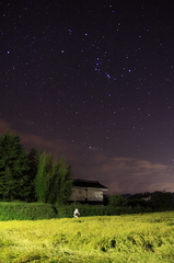 星空と案山子たち