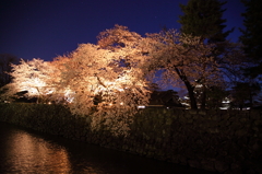 桜`10（松本城　夜桜編）