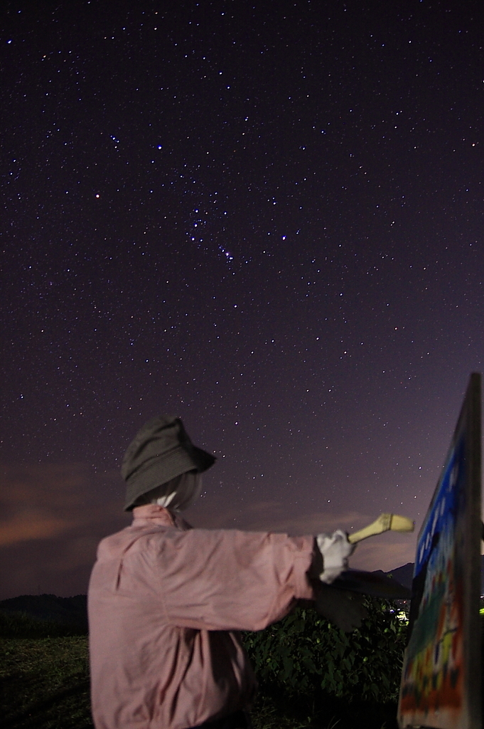 星空と案山子たち