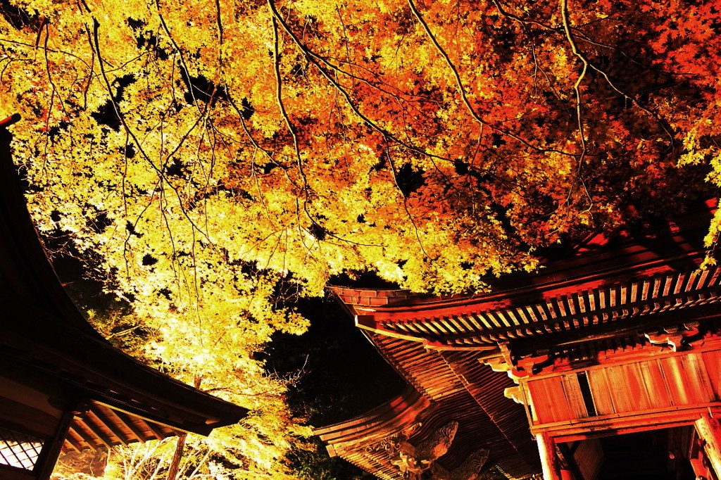 紅葉`10鹿教湯　文殊堂編