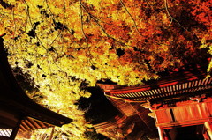 紅葉`10鹿教湯　文殊堂編