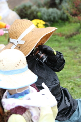 かかしあげ2010