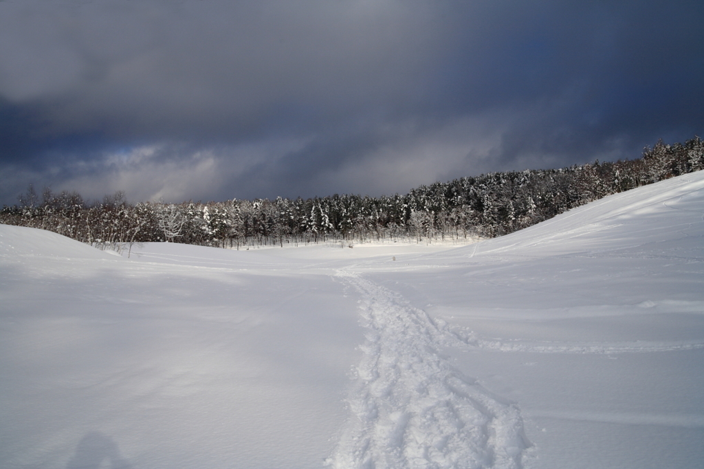 雪景色